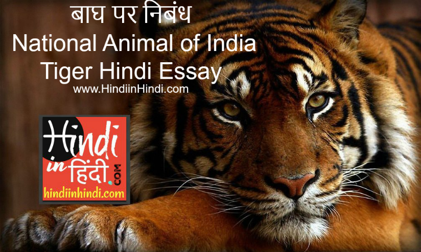 national-animal-of-india-tiger-hindi-essay-in-hindi-language